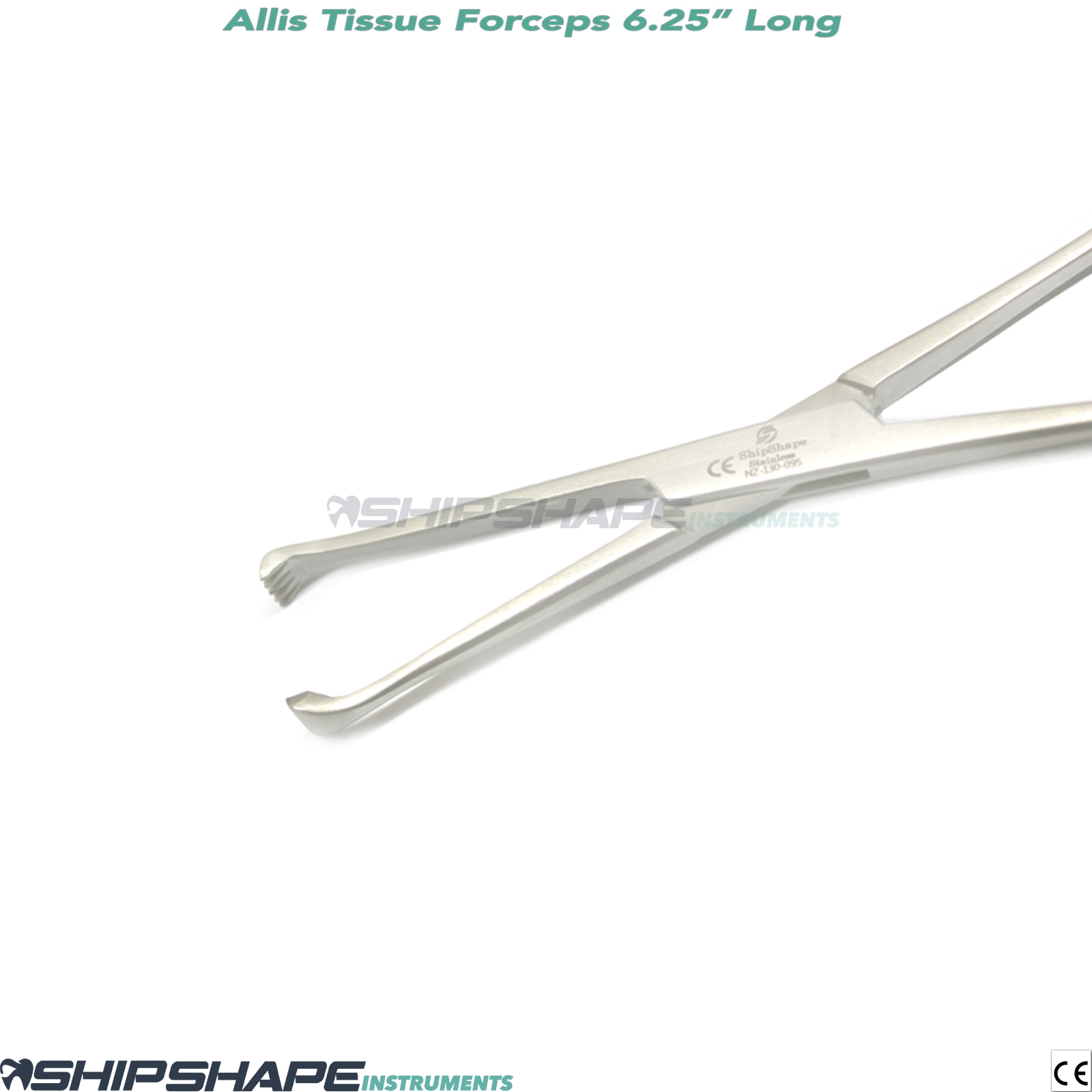 Allis Tissue Forceps Surgical Veterinary Instruments Allis Tissue Forceps 4x5 Toothed Clamps 14cm-1625 Allis Tissue Forceps Surgical Veterinary Instruments Allis Tissue Forceps 4x5 Toothed Clamps 14cm-1625