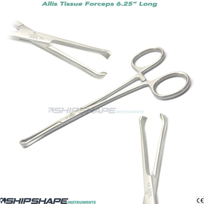 Allis Tissue Forceps Surgical Veterinary Instruments Allis Tissue Forceps 4x5 Toothed Clamps 14cm-0