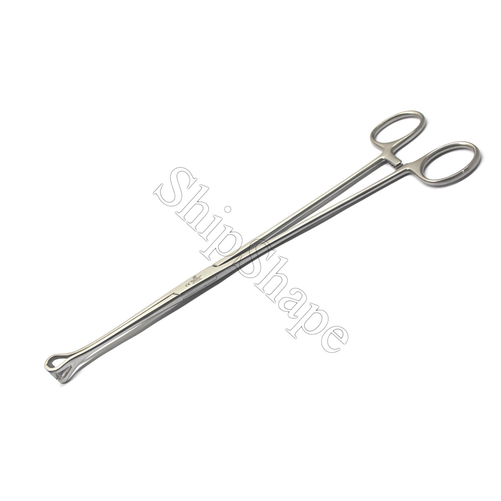 Babcock Forceps 10" Grasp Delicate Tissue Veterinary Surgical Instruments -0 Babcock Forceps 10" Grasp Delicate Tissue Veterinary Surgical Instruments -0