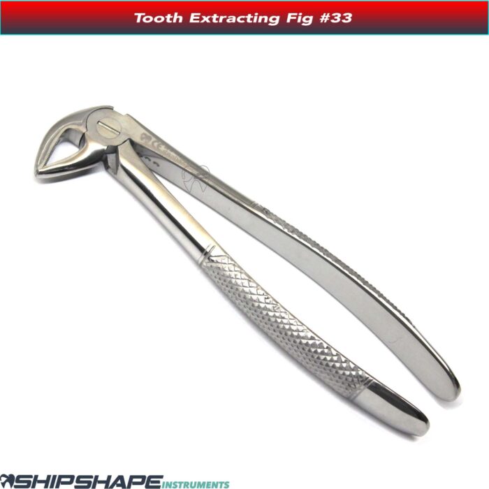 Tooth Extracting Forceps #33 High Quality Stainless Steel Dental Instruments Extraction Forcep Fig No. 33-0