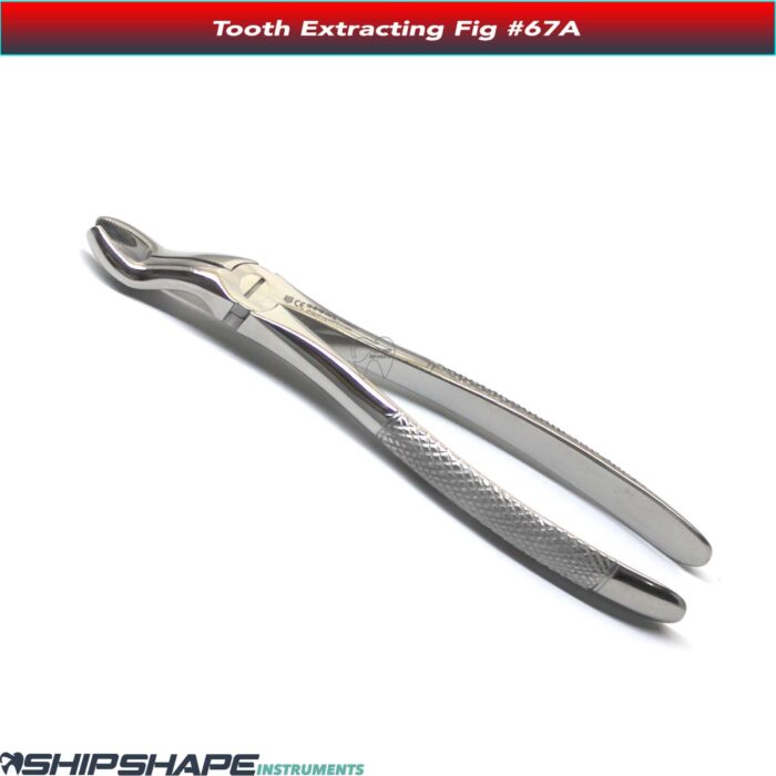 Tooth Extracting Forceps #67 Stainless Steel Dental Hand Instruments For Upper Wisdoms Extraction Forceps Fig No. 67A-0