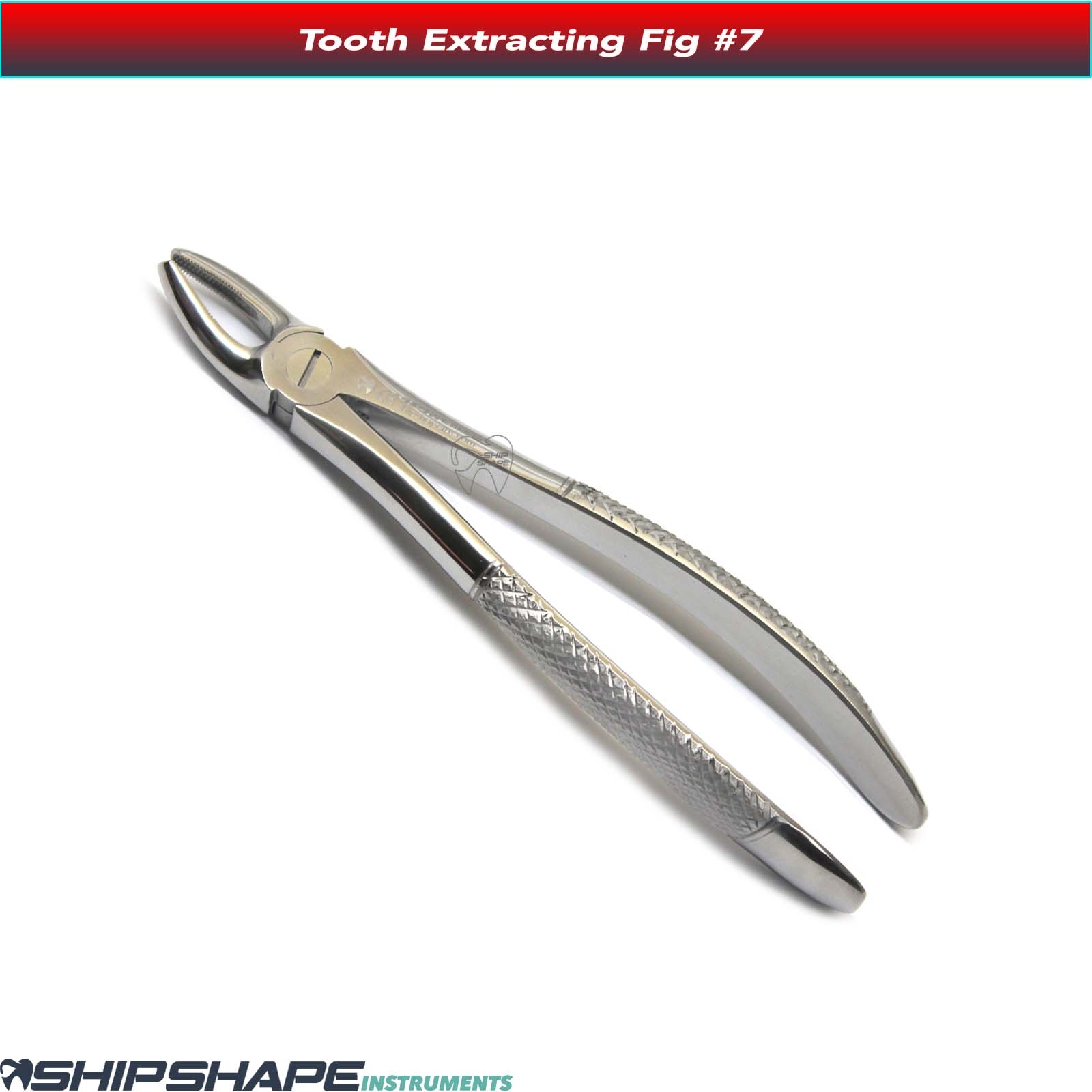 Tooth Extracting Forceps #7 High Quality Stainless Steel Dental Instruments Extraction Forcep Fig No. 7-0 Tooth Extracting Forceps #7 High Quality Stainless Steel Dental Instruments Extraction Forcep Fig No. 7-0