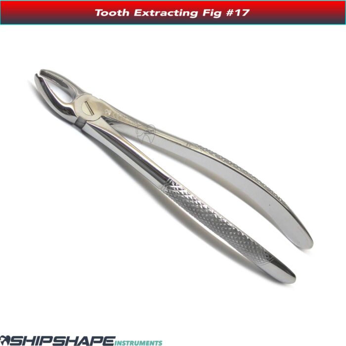 Tooth Extracting Forceps #17 Right Stainless Steel Dental Hand Instruments For Upper Molars Extraction Forcep Fig No. 17-0