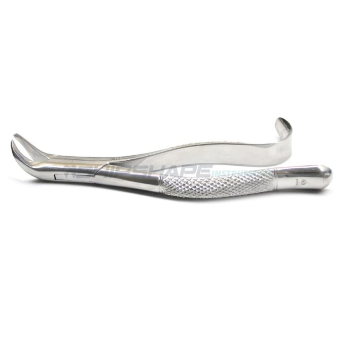 Extracting Forceps Dental Tooth Extraction Forcep Lower Molar, Cowhorn #16 (Hook Handle) Shipshape Instruments-0