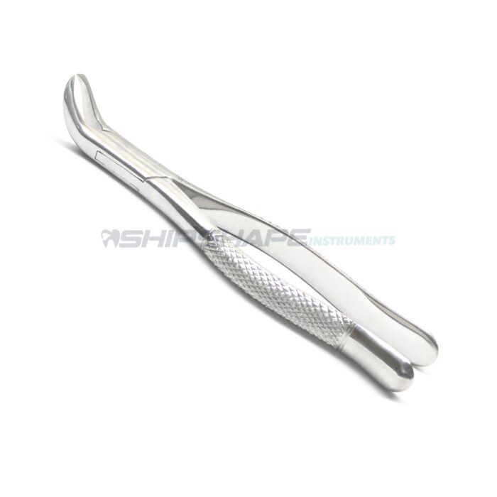 23 Extracting Forceps Cowhorn #23 1st And 2nd Lower Molar Extraction forceps Steel Instruments NZ231019R-0