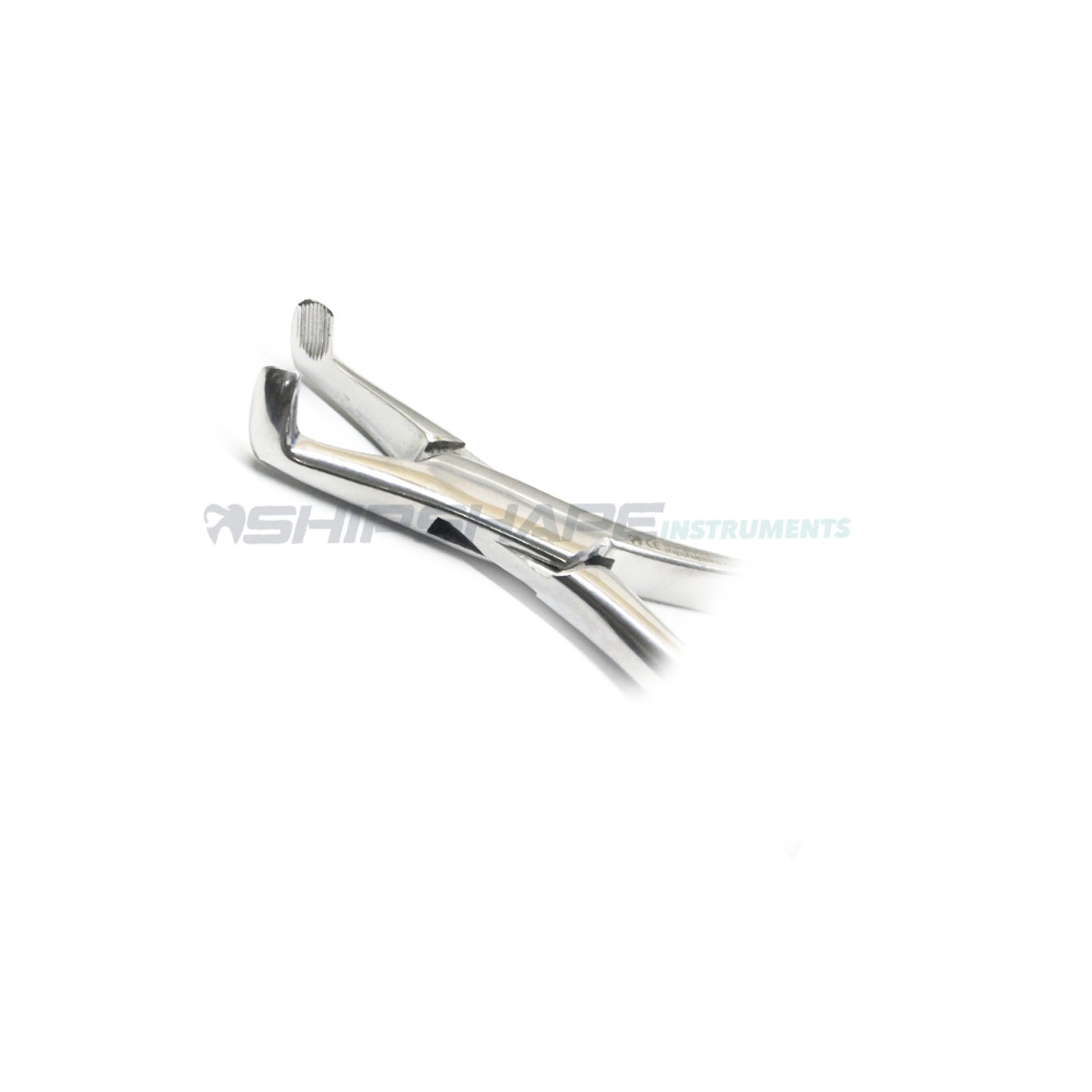 Tooth Extracting Forceps # 222 Predictable Dental Oral Extraction Procedure Tool | Shipshape Instruments-1585 Tooth Extracting Forceps # 222 Predictable Dental Oral Extraction Procedure Tool | Shipshape Instruments-1585